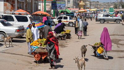 Somalia, Stadt, Menschen, Frauen, Männer, Frauen, Tiere, Afrika, Gebäude