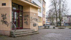 Schule, Schulhof, Bildung, Gebäude, Basketball, Tischtennisplatte, Bäume