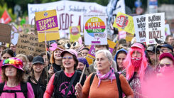 Demo, Demonstration, Menschen, AfD, Nazis, Björn Höcke, Parteitag, Erfurt