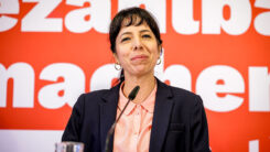 Die Linke, Berlin, Elif Eralp, Politikerin, Presssekonferenz, Mikrofon