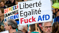 Demonstration, Demo, AfD, AfD-Verbot, Vielfalt, Menschen, Gesellschaft, Rechtsextremismus
