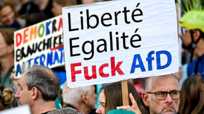 Demonstration, Demo, AfD, AfD-Verbot, Vielfalt, Menschen, Gesellschaft, Rechtsextremismus