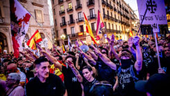 Demo, Demonstration, Spanien, Rechtsextreme, Rechtsextremismus