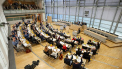 Abstimmung, Landtag, Sachsen-Anhalt, Politik, AfD, Tobias Rausch