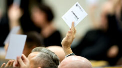 Abstimmung, Landtag, Sachsen-Anhalt, Politik, AfD, Tobias Rausch