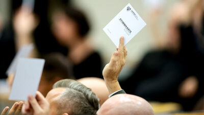 Abstimmung, Landtag, Sachsen-Anhalt, Politik, AfD, Tobias Rausch