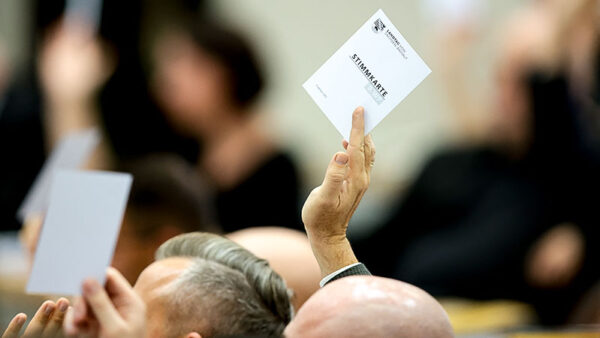 Abstimmung, Landtag, Sachsen-Anhalt, Politik, AfD, Tobias Rausch