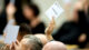 Abstimmung, Landtag, Sachsen-Anhalt, Politik, AfD, Tobias Rausch